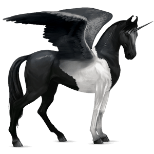 unicornio de montar alado marwary pío overo negro