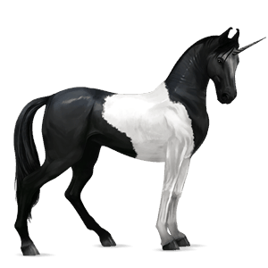 unicornio de montar marwary pío overo negro