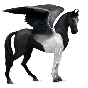 pegaso de montar bayo tostado