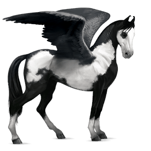 pegaso de montar marwary gris ratón