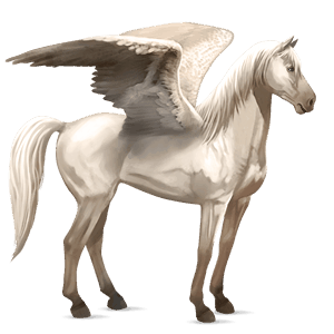 pegaso de montar pinto pío tovero palomino