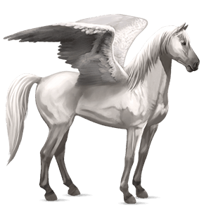 pegaso de montar cuarto de milla gris claro