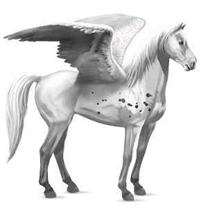 pegaso de montar pura raza española gris claro