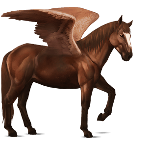 pegaso de montar pura sangre gris tordo