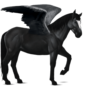 pegaso de montar negro