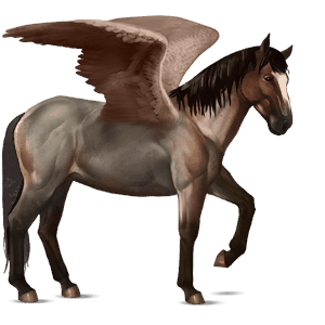 pegaso de montar trakehner bayo