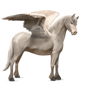 poni pegaso gris claro