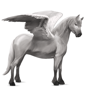 poni pegaso chilote gris tordo