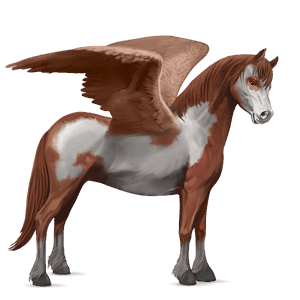 poni pegaso conemara isabelo