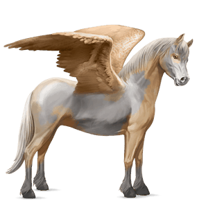 poni pegaso chilote alazán