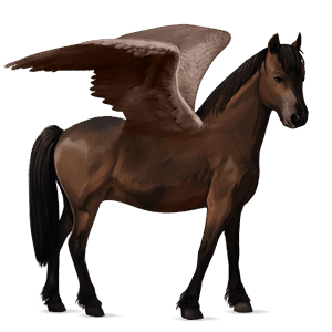 poni pegaso kerry bog bayo tostado