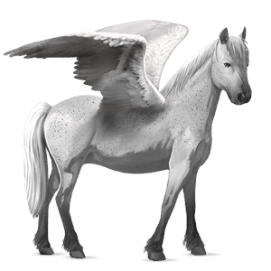 poni pegaso quarter poni alazán