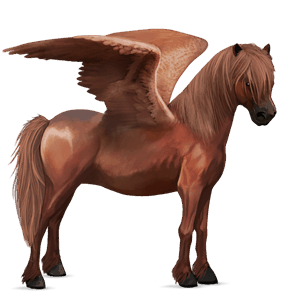 poni pegaso kerry bog alazán