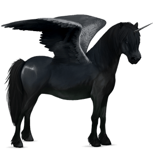 unicornio poni alado  kerry bog negro