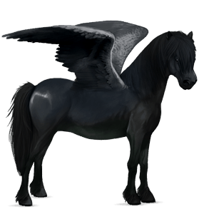 poni pegaso losino negro