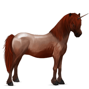 unicornio poni shetland bayo