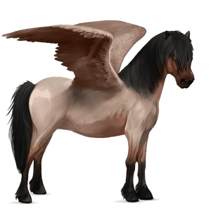 poni pegaso poni highland isabelo