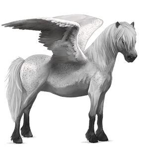 poni pegaso shetland overo