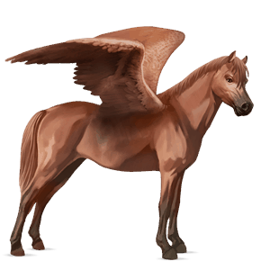 poni pegaso welsh alazán