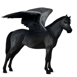 poni pegaso losino negro