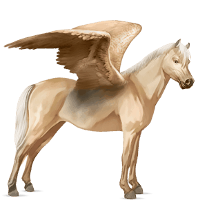 poni pegaso welsh palomino