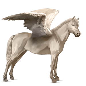 poni pegaso welsh bayo cereza