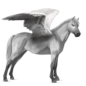 poni pegaso gris claro