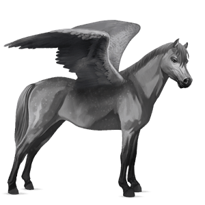 poni pegaso welsh alazán