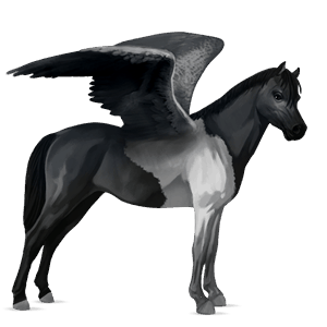 poni pegaso kerry bog pío tobiano alazán