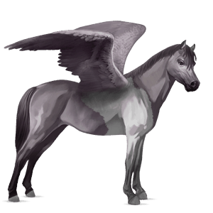 poni pegaso chilote alazán