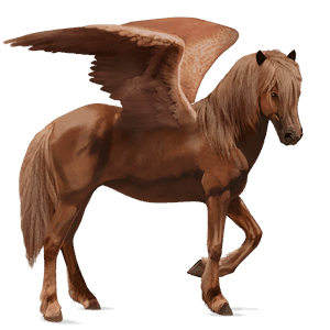 pegaso de montar shagya arabian bayo