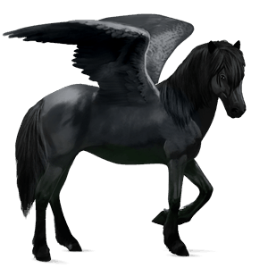 pegaso de montar pura sangre negro