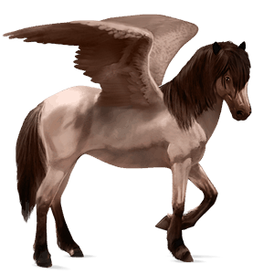 pegaso de montar gris ratón