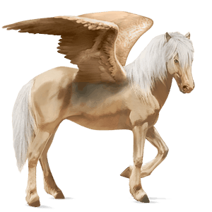 pegaso de montar lusitano bayo