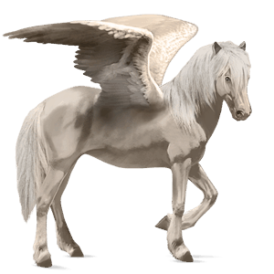 pegaso de montar negro