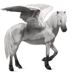 pegaso de montar konik polaco gris claro