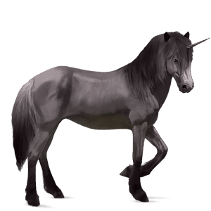 unicornio de montar pura raza española gris tordo