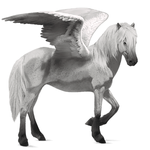 pegaso de montar peruano de paso gris claro