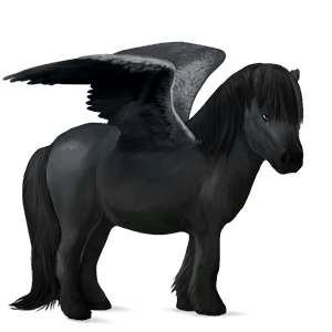 poni pegaso shetland pío tobiano alazán