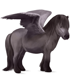 poni pegaso kerry bog negro