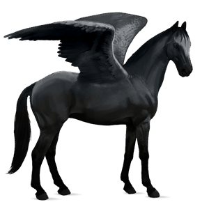 pegaso de montar cuarto de milla negro