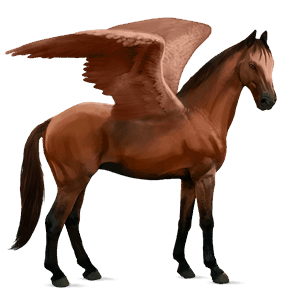 pegaso de montar bayo