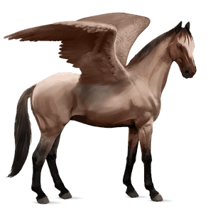 pegaso de montar palomino