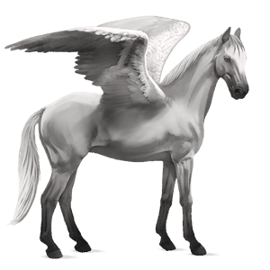 pegaso de montar donskaya gris claro