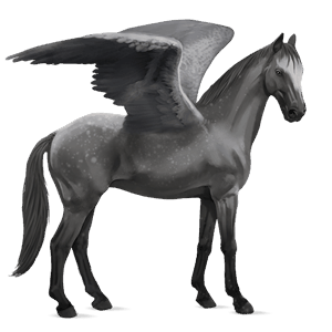 pegaso de montar donskaya gris tordo