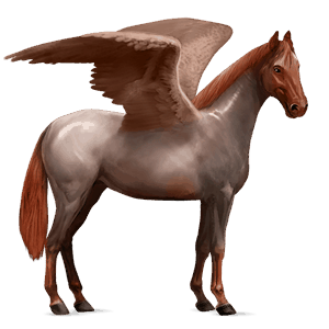 pegaso de montar overo