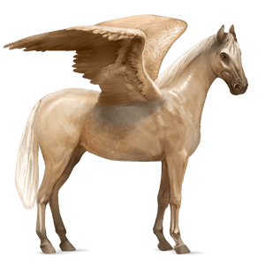 pegaso de montar bayo