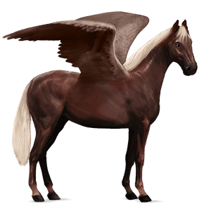 pegaso de montar negro