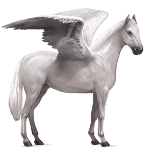 pegaso de montar Árabe gris claro