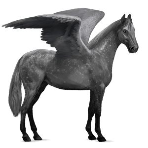 pegaso de montar lipizzan gris claro